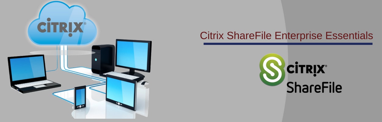 share file citrix